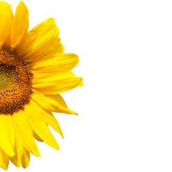 Similar image 7891154