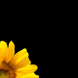 Similar image 7891155