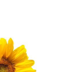 Similar image 7891156