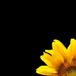 Similar image 7891158