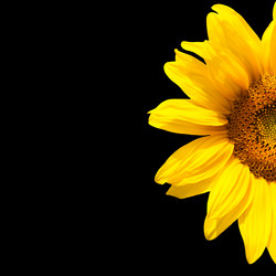 Similar image 7891160