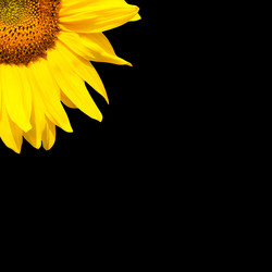 Similar image 7891162