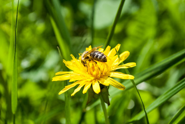 Similar image 7891346