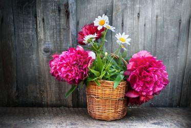 Similar image 7891348