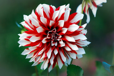 Similar image 7891364