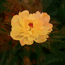 Similar image 7891441