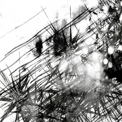 Similar image 7891442