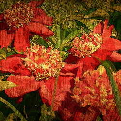 Similar image 7891518