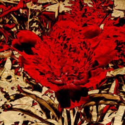 Similar image 7891536