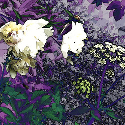 Similar image 7891554