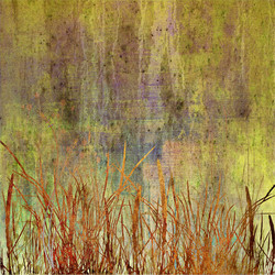 Similar image 7891559