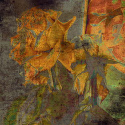 Similar image 7891577