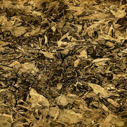 Similar image 7891600