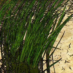 Similar image 7891651