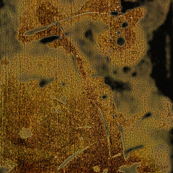 Similar image 7891704