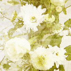 Similar image 7891729