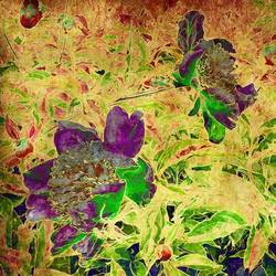 Similar image 7891730