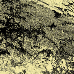 Similar image 7891735