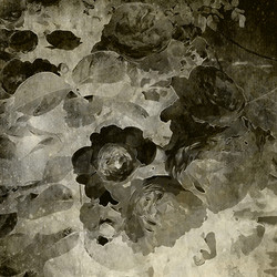 Similar image 7892137