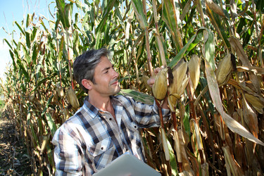 Similar image 7892182