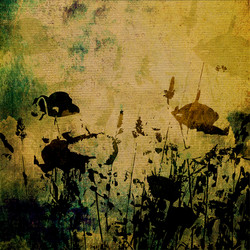 Similar image 7892184