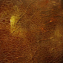 Similar image 7892198