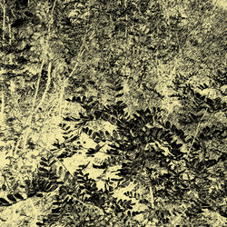 Similar image 7892383