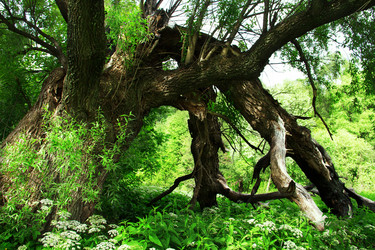 Similar image 7892396