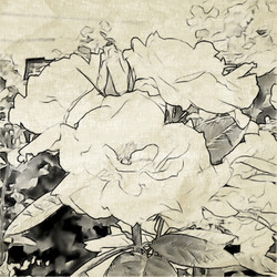 Similar image 7892927