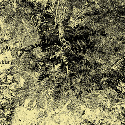 Similar image 7892933