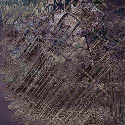 Similar image 7893001