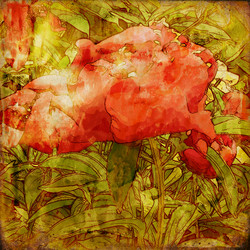 Similar image 7893002