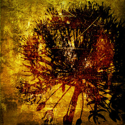 Similar image 7893008