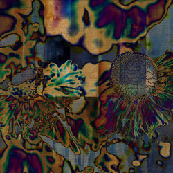 Similar image 7893042