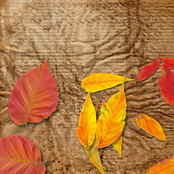 Similar image 7893044