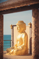 Similar image 7893106