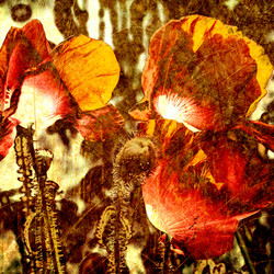 Similar image 7893112