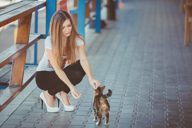 Similar image 7893160