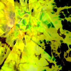 Similar image 7893205