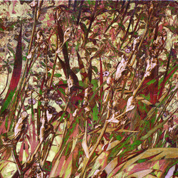 Similar image 7893215