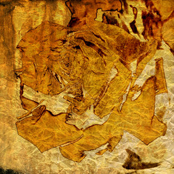 Similar image 7893222