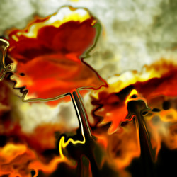 Similar image 7893229