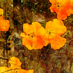 Similar image 7893237