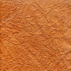 Similar image 7893242