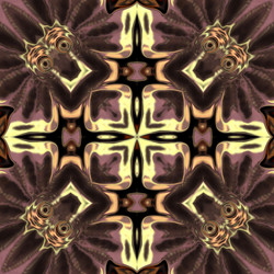 Similar image 7893287