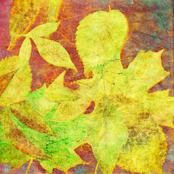 Similar image 7893307