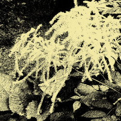 Similar image 7893364