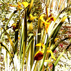 Similar image 7893367