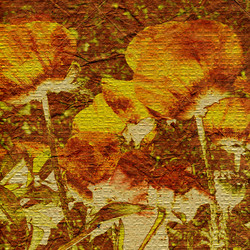 Similar image 7893386