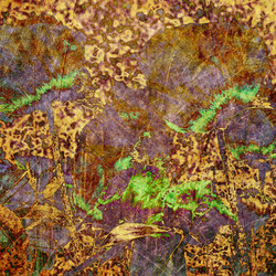 Similar image 7893387